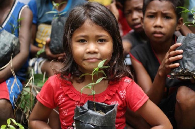 Almaciga-tree-planting_article-896x597