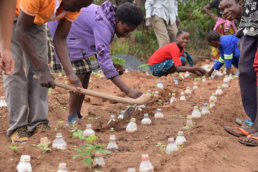 Project-Mentor_Program-92114624_855917864835452_4749882724389486592_n