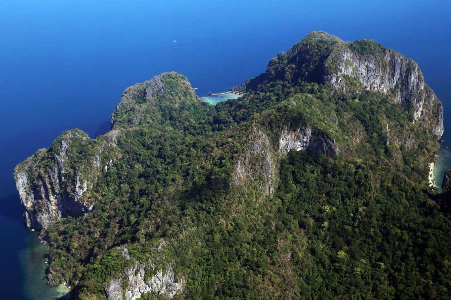 Project-Philippine-Biodiversity-Initiative-1